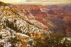 USA-Arizona-Grand Canyon National Park Winter canyon overview from Grandview Point Art Print